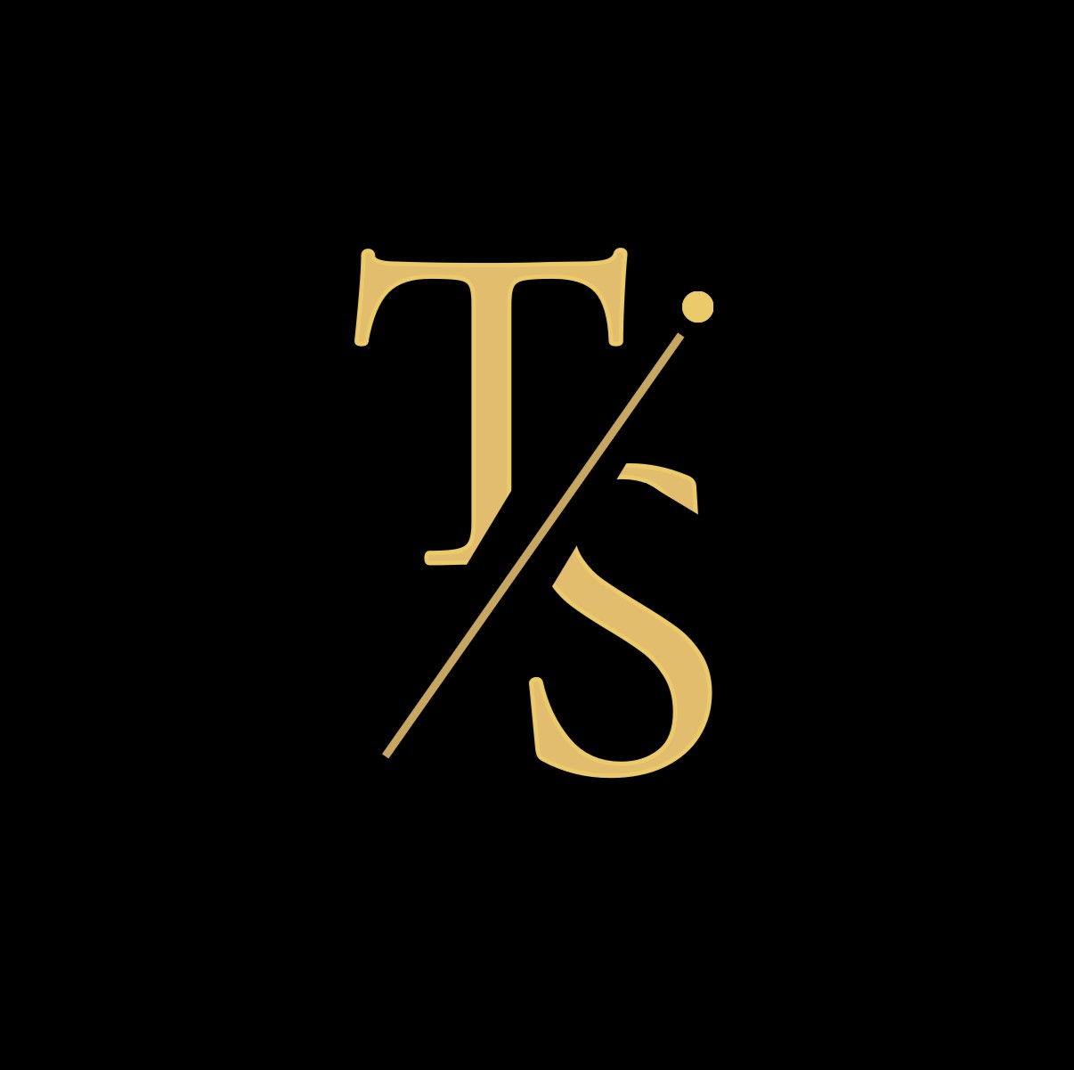 TS-Immobilien Logo